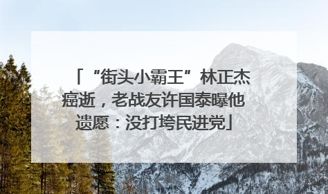 “街头小霸王”林正杰癌逝，老战友许国泰曝他遗愿：没打垮民进党